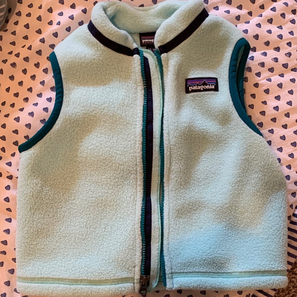 Patagonia Sky Blue Fleece Vest